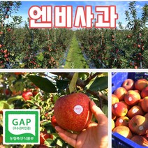산지직송 예산 엔비사과 세척사과 아삭아삭 꿀사과, 엔비사과 10kg 중과 33~38과