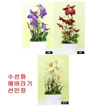 쏭쏭이 화분 조화 수선화 해바라기 선인장 장식 대기실 미니조화화분 거실화분 가정 식당개업선물 개업선물 병원개업선물, 그린선인장