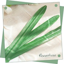 플라워트리 싱그러운 그린인테리어 녹색 잎 매트 모음 플트 조화, 14.라지싱글잎o 91cm-그린