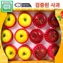 해나루 후지 부사 사과 시나노골드 5kg 황금사과 선물세트 선물용 꿀사과, 시나노골드 특대(11~13과)