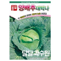 아시아종묘 양배추 대박나 씨앗종자 양배추씨, 200개