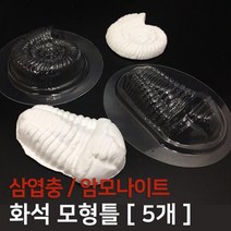 화석 모형틀 거푸집 삼엽충 암모나이트 택1 실험교구, 2.삼엽충 5개