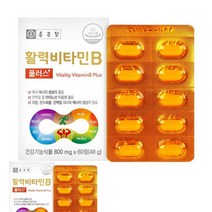 종근당 활력 비타민B 플러스 고함량비타민B 종합비타민 활성비타민