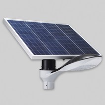 태양광 정원등 LED비츠온 50W급 돌고래 주광색