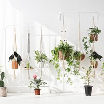 마켓비 FLANT 마크라메 핸드메이드 화분 바구니걸이, BCC14