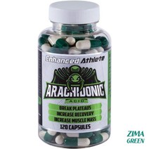아라키돈산 arachidonic ArA 헬스 근육 머슬 보조 120캡슐 Enhanced A, 상품선택
