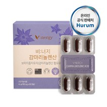 기타브랜드 감마리놀렌산 보라지꽃종자유60캡슐