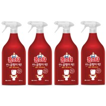 홈스타 뿌리는 곰팡이싹 900ml x 4입, Mold Remover Spray