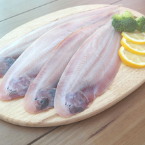 올리오 군산특산물 반건조 박대 서대 31~39cm 내외 진공포장, 옵션03_박대34~35cm내외4마리