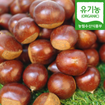 (자연마을) 충남 공주 유기농 정안 햇 대보밤 2kg(대), 유기농 대보밤 2kg[대](1kg*2봉)