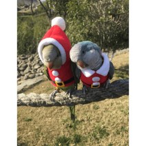 앵무새 옷 코뉴어 새 모란 겨울 털 산타 크리스마스 따뜻한 레드 귀여운, 앵무새종류 배송요청에 적어주세요., 후드가 없는 원피스 똥 주머니