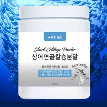 위드바이오 상어연골칼슘분말 120g 골다공증약 잇몸 수소 영양제 나노칼슘