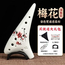 취미용 관악기 오카리나 도자기 나무 악보 배우기 심플한디자인 연주 초보 플라스틱, [연주대금] 매화+선물세트