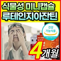 [식물성 미니 캡슐] 루테인 지아잔틴 루태인 뉴테인 뷰테인 루테린 제아잔틴 베타카로틴 침침한 흐릿한 뻑뻑한 건조한 눈 노화 노안 황반색소밀도 감소 보호 건강 도움 + 알 약 케이스, 4개월 / 2개
