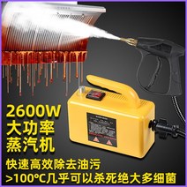 고온 고압 스팀 청소기 연속분사 분사량 조절 불가능, 2600W 자동 스프레이 건 [하드 커버 블랙