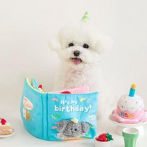 BC 인스코리아 그리운 음식 귀여운 킁킁 소리 독서 장난감 강아지 티베트 음식 책 애완 동물 생일 아마존 수출, 초록