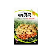 모칸도 세계종묘 땅콩 30g