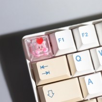 투명 클리어 포인트키캡 기계식 키보드 ESC키, 없음, 없음, 1.1