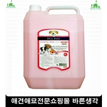 과식하는댕댕이식단조절돕는애완용스쿱 고양이사료파는곳