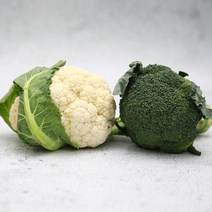 빛고을장터 국내산 브로커리 브로콜리 콜리플라워 컬리플라워, 1Box, 브로콜리 2kg내외