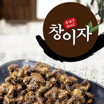 제천약초생활건강 창이자 250g, 1개, 제천약초생활건강창이자250g