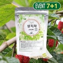 참건강마을 상지차 뽕나무가지차 30g 20티백 7+1, 없음, 상세설명 참조