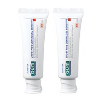 선스타검 GUM 시린이 치주질환 전용 치약 덴탈 겔 SE 2개입