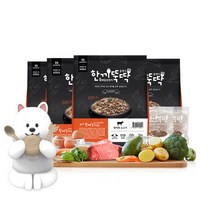한끼뚝딱 클래식 국산 강아지사료 1kg+한입덴탈 4p, 3_연어 1kg