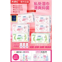살균소독 ABC 위생 청음 물티슈 여성 은밀한부위 케어 집사 청결 전용 3690559366, 12 케이스