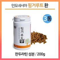 판두라틴 핑거루트 분말 건강환 인도네시아 핑커루트 가루 식이섬유 건강식품, 200g, 3병