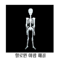 할로윈 야광 해골 모형 장식품 파티 소품 꾸미기