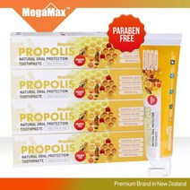 메가맥스 뉴질랜드 프로폴리스 치약 160g x 1개 _ 73197101EA, 1, 본상품선택