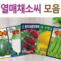 살아있는 씨앗 모음 열매씨앗 여주 우엉 박 토마토 참외 수박 오이 호박 가지 옥수수 깨 콩 팥 수수 밀 배추 양배추 열무 알타리 당근 무 비트 콜라비 고추 파프리카 종자, M-일류알타리 x 1개, 1개