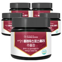 [참굿즈] 콜레우스 포스콜리 추출물 120정 5통, 상세 설명 참조, 상세 설명 참조, 상세 설명 참조