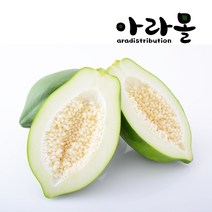 아라몰 그린 파파야 (Green Papaya), 1kg(2수), 1박스