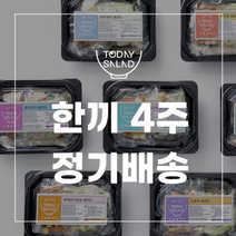 [샐러드정기배송] 하루 한끼 4주 / 진공포장샐러드 정기배송