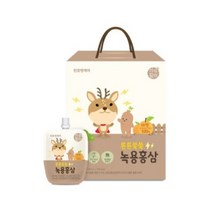 천호엔케어 튼튼쑥쑥 어린이 녹용홍삼즙, 40ml, 2개