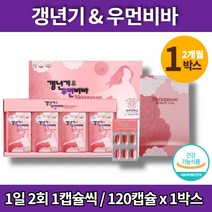 회화나무 열매 보라지 감마리놀렌산 보리지 꽃 오일 종자유 50대 여자 여성 엄마 선물 영양제 석류 오미자 산삼 배양근 추출 분말 저분자피쉬콜라겐, 1박스