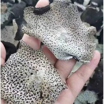 SAMARA 중국식품 자연산 석이버섯 포장은변경될수있음 230612, 500g