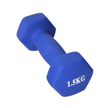 K4스포츠아몸디 K4-60 네오프렌아령 2개1세트 다이어트 미용아령 블루, 1.5kg