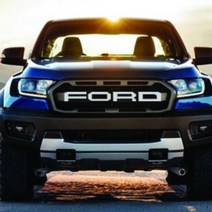 ArtX 포드 레인저 랩터 FORD 그릴 데칼 스티커 NO.401, 카본핑크