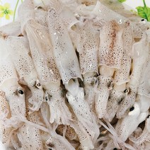 국내산 남해안 꼴뚜기(호래기) 1kg 소, 1box
