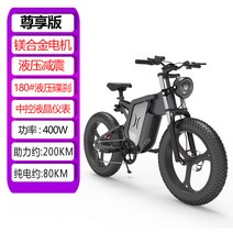 전기팻바이크 트레일 오프로드 전기 자전거 리튬 배터리 오토바이 성인 20 인치 산악 자동차, 독점판 200KM, 48V