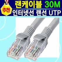 [알전산] 가정 사무실 학교 기업 관공서 서버구축 학내망구축 전용 인터넷선 랜케이블 랜선1M터 랜선2M 랜선3M 랜선5M 랜선7M 랜선10M 랜선15M 랜선20M 랜선30M, 1개, 랜선30미터