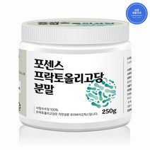 바른생활건강 프리바이오틱스 장에좋은 유산균먹이 프락토올리고당 분말 가루 대용량 사탕수수당 100%, 250g x 1통