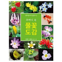 주머니 속 풀꽃 도감, 황소걸음, 이영득