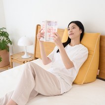 누보레 삼각 등받이쿠션 침대 쇼파 허리 등쿠션, 연베이지