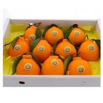 넉넉/(넉넉)한라봉 선물세트 1.5KG 대과(05-06과 내외)/롯데백화점