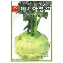 콜라비종자씨앗 청콜라비(1000립) S2477