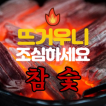 참좋은숯 비장탄 참숯 구이 바베큐 캠핑 업소용, 10kg, 1개